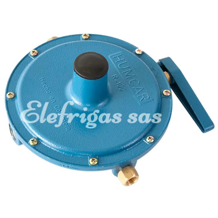 Regulador R100